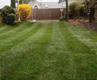 Desbroces de fincas,limpieza de terrenos Limpieza de terrenos y poda de árboles en altura